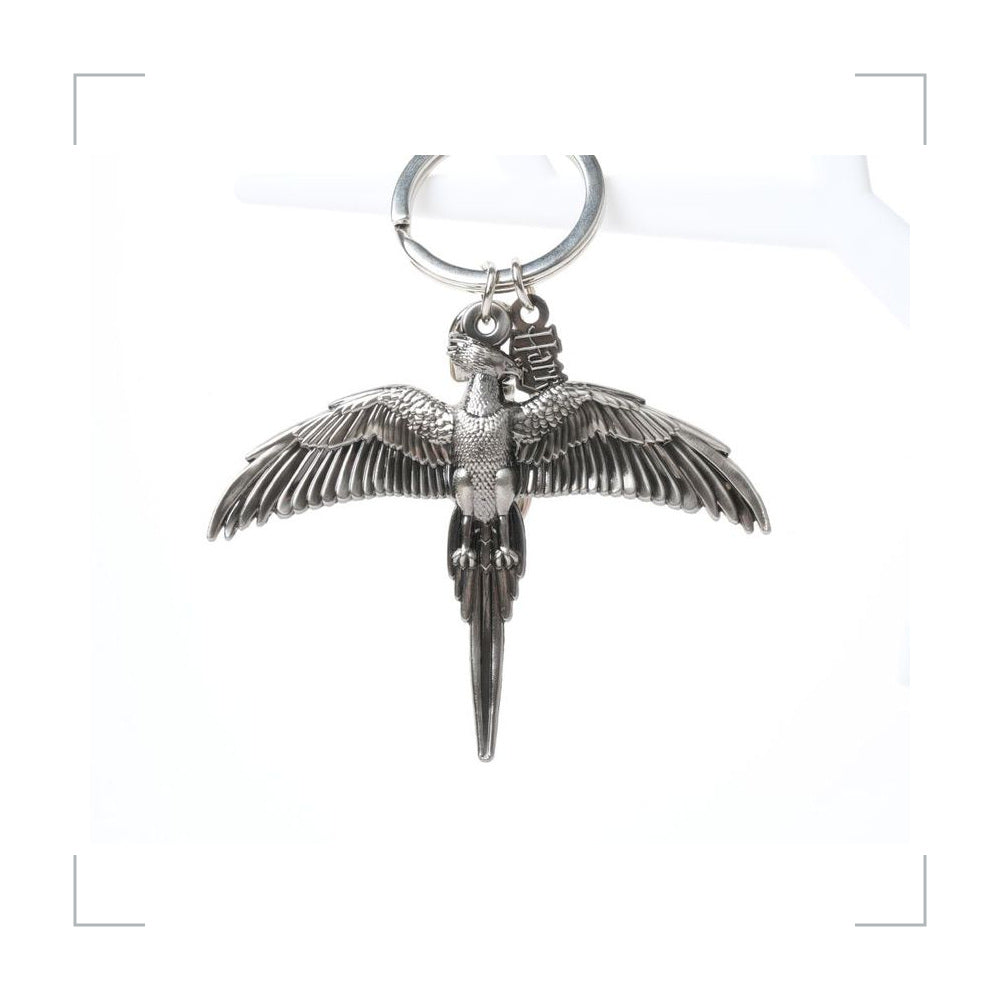 [BG_UNKNOWN] Harry Potter Alloy Keychain 2