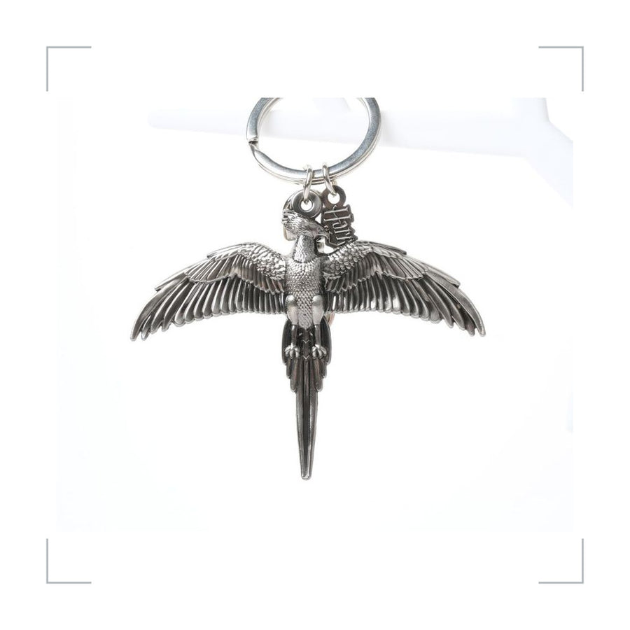 [BG_UNKNOWN] Harry Potter Alloy Keychain 2
