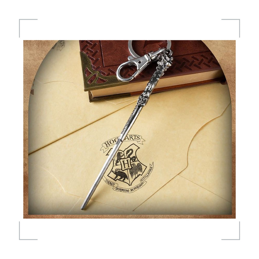[BG_UNKNOWN] Harry Potter Alloy Keychain 2