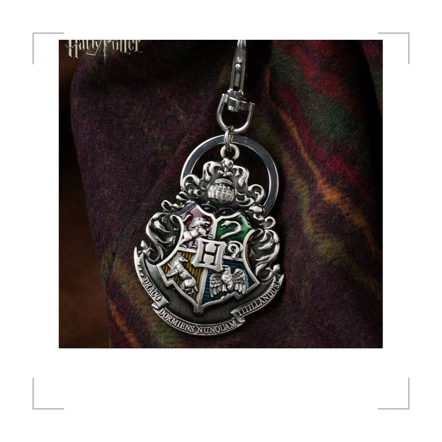 [BG_UNKNOWN] Harry Potter Alloy Keychain 2