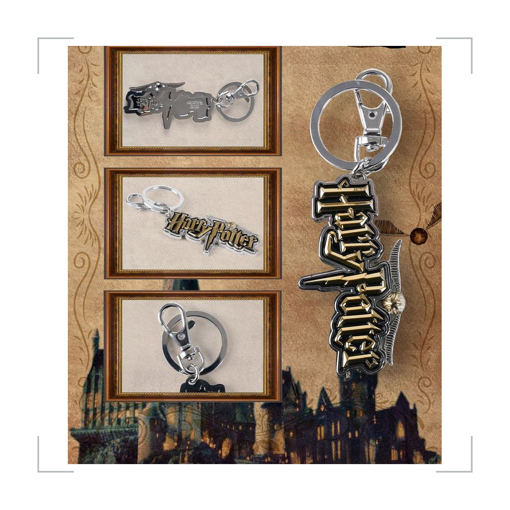 [BG_UNKNOWN] Harry Potter Alloy Keychain 3